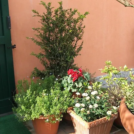 Belfiore בולוניה