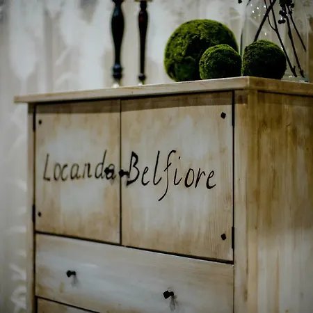 Belfiore * Болонья